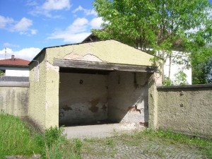 IMGP1959